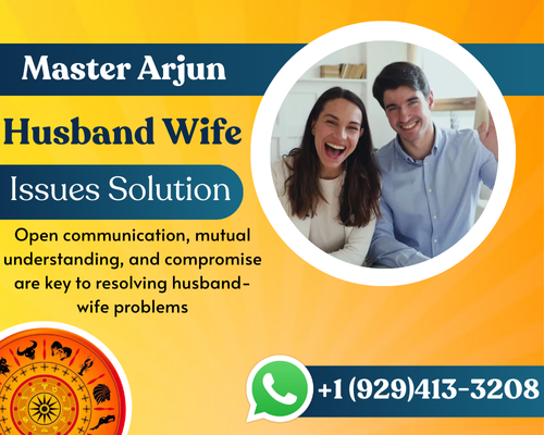 Husband Wife Problem Solution Astrologer in New York